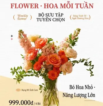 999k Trọn gói 1 tháng hoa tươi | Sống Tinh Tế · Ngát Hương Hoa